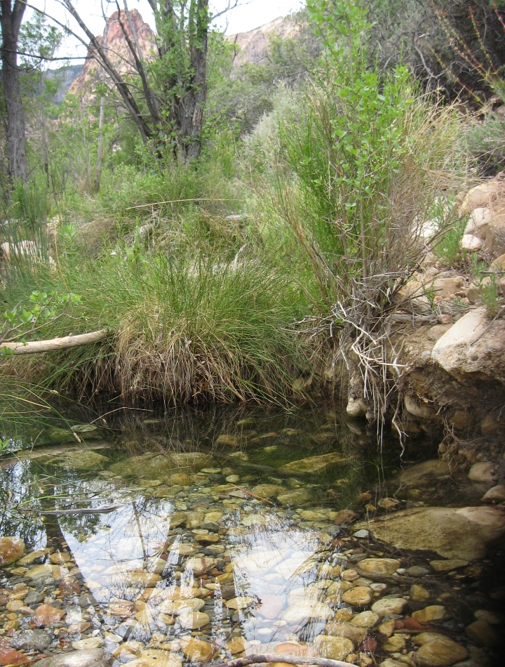 Desert Creek